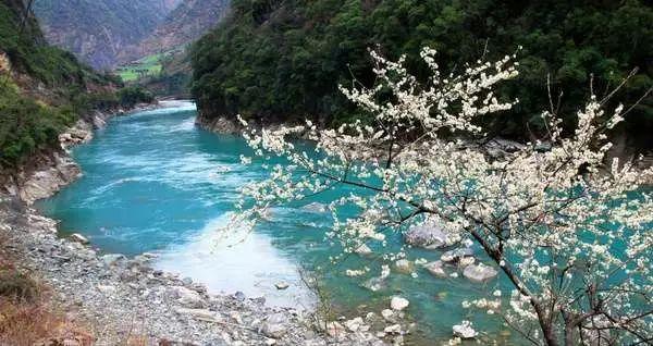 精灵的冒险之旅
